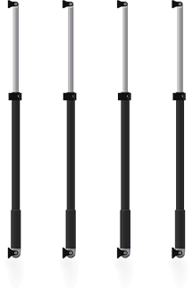 CART- ERL- P01