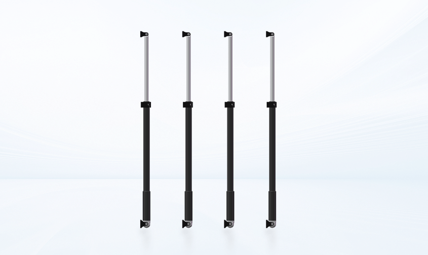 CART- ERL- P01